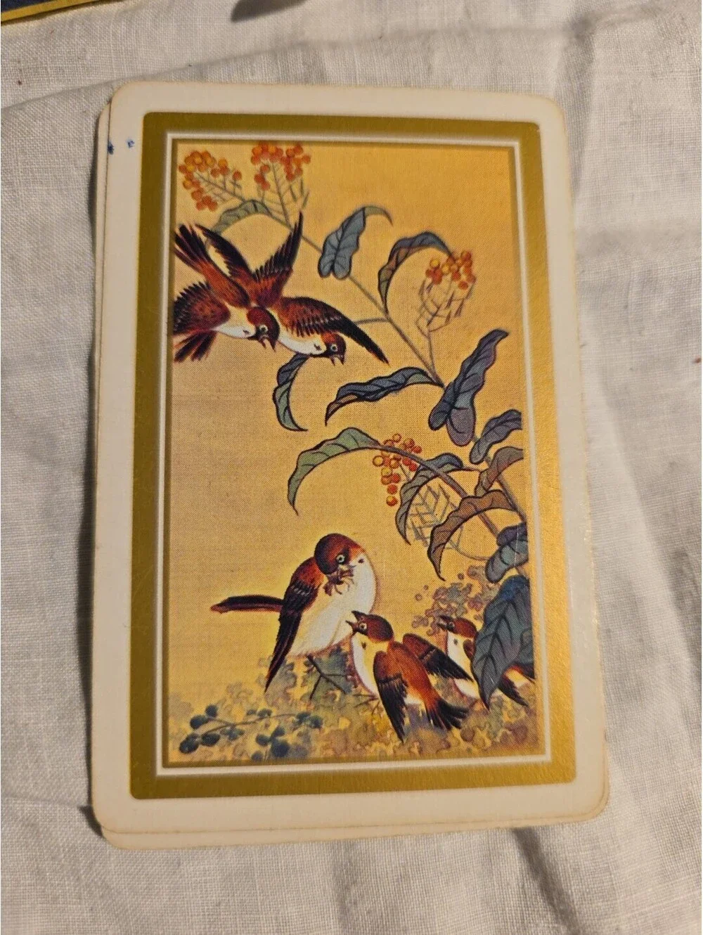 Congress Double Deck Playing Cards With Birds